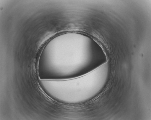 X0000087421452200704201033