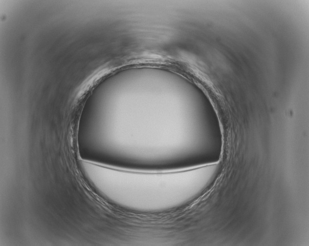 X0000087421455200704201033