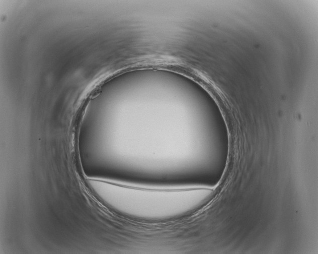 X0000087421459200704201033