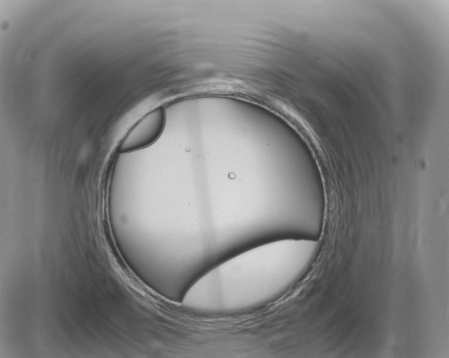 X0000087421467200704201033