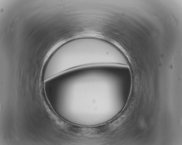 X0000087421469200704201033