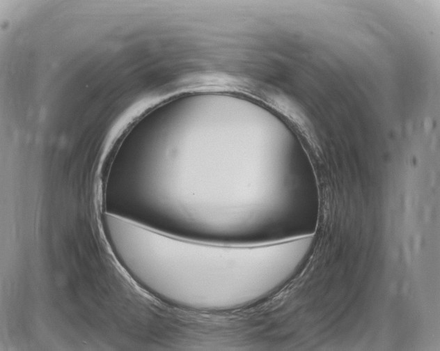 X0000087421472200704201033