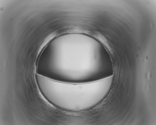 X0000087421476200704201033