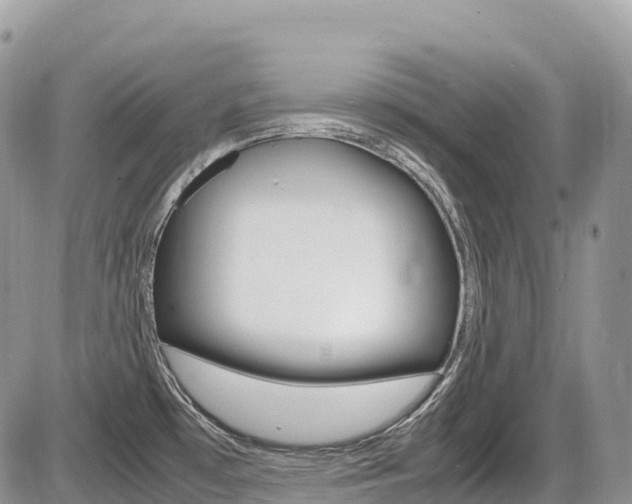 X0000087421481200704201033