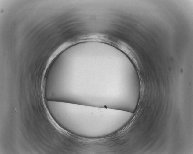 X0000087421482200704201033