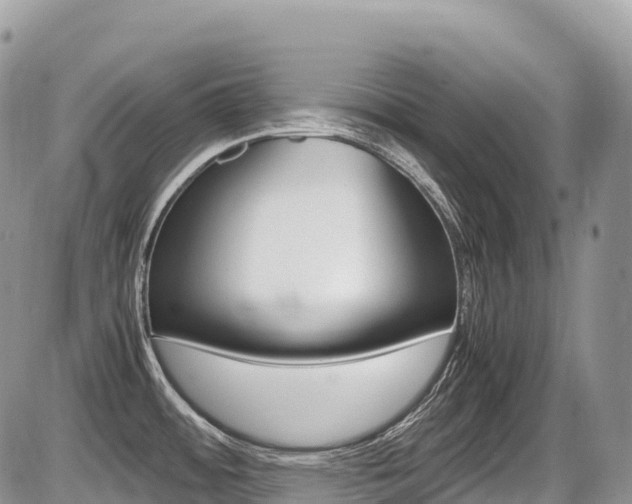 X0000087421484200704201033