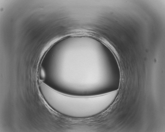 X0000087421485200704201033