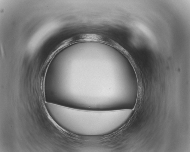 X0000087421487200704201033