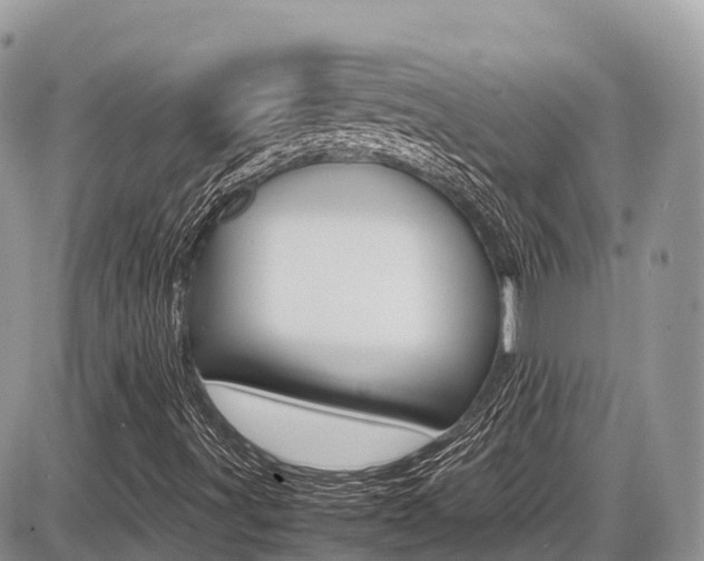 X0000087421491200704201032
