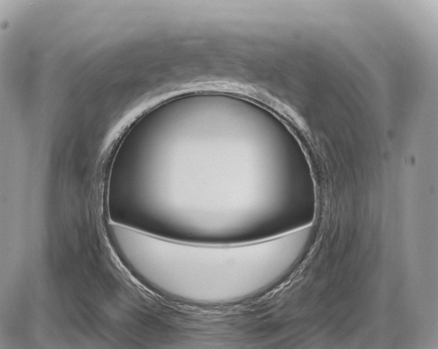 X0000087421504200704201032