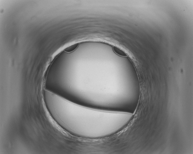 X0000087421526200704201033