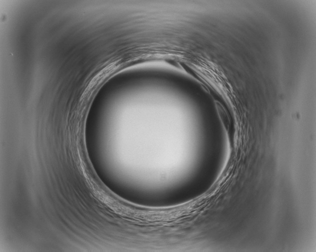 X0000087420001200704201437