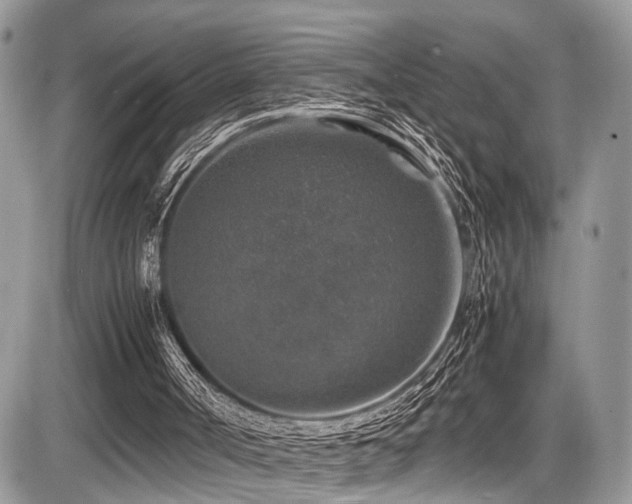 X0000087420002200704201437