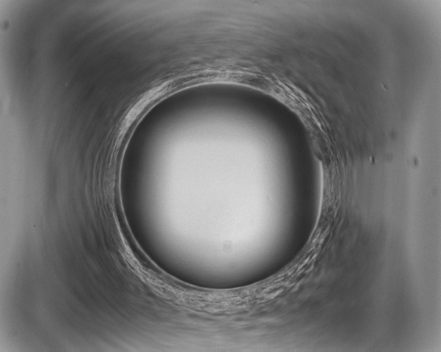 X0000087420003200704201437