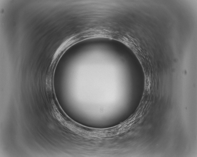 X0000087420004200704201437