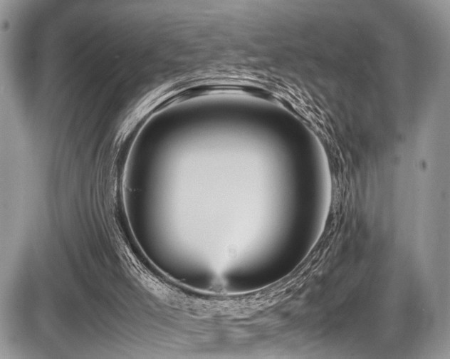 X0000087420005200704201437