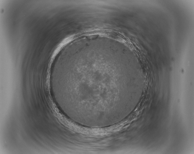 X0000087420006200704201437