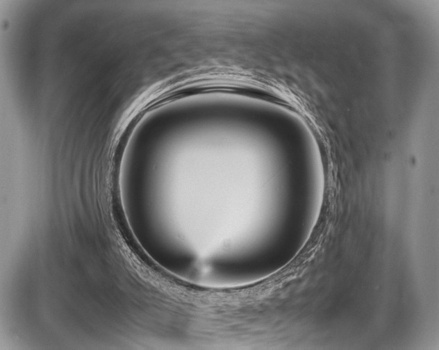 X0000087420007200704201437