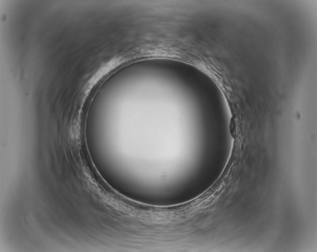 X0000087420008200704201437