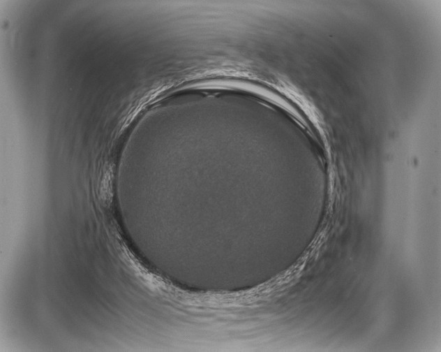 X0000087420009200704201437