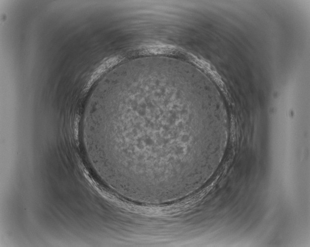 X0000087420010200704201437