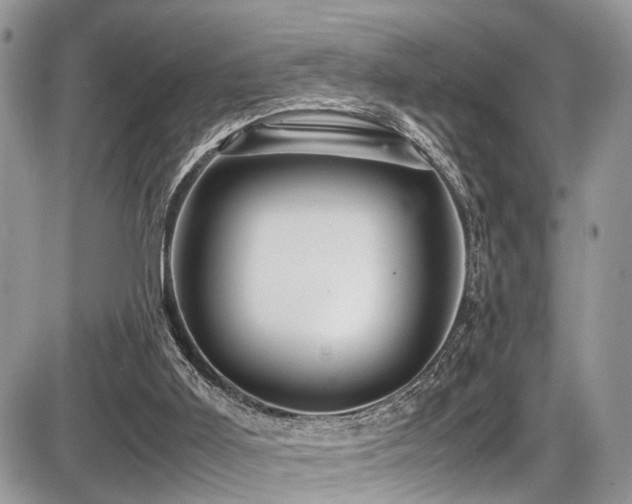 X0000087420011200704201437