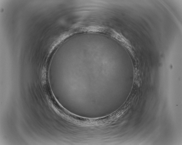 X0000087420012200704201437