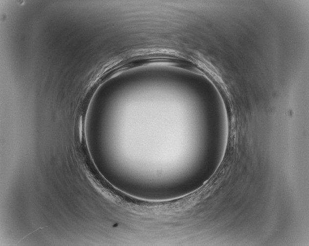 X0000087420013200704201437