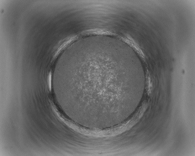 X0000087420014200704201437