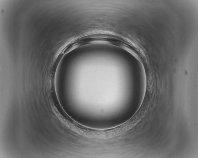 X0000087420015200704201437