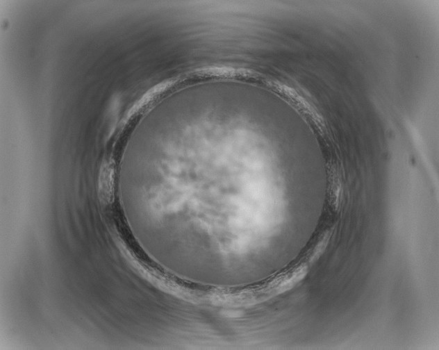 X0000087420016200704201437