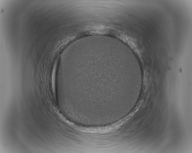 X0000087420017200704201437