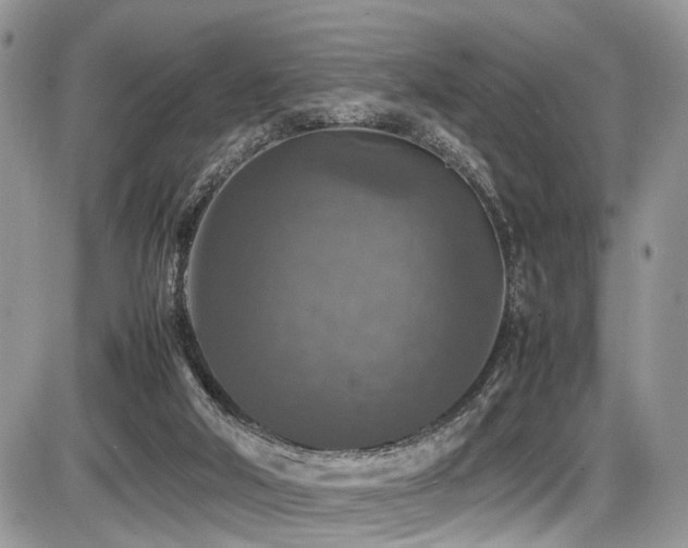 X0000087420018200704201437