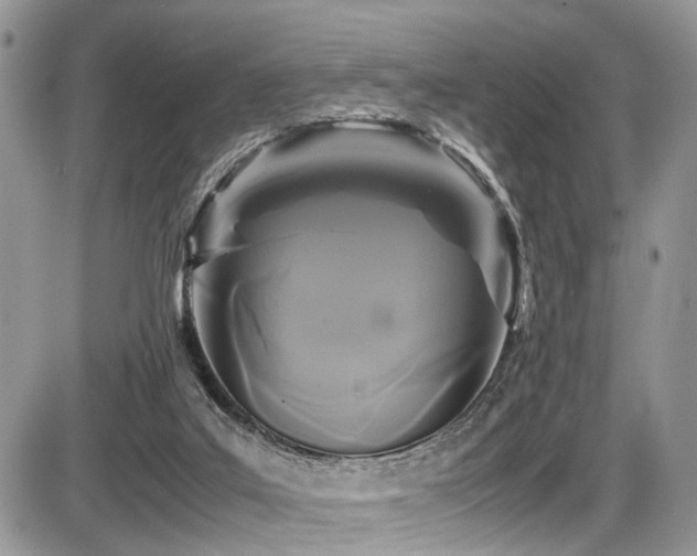 X0000087420019200704201437