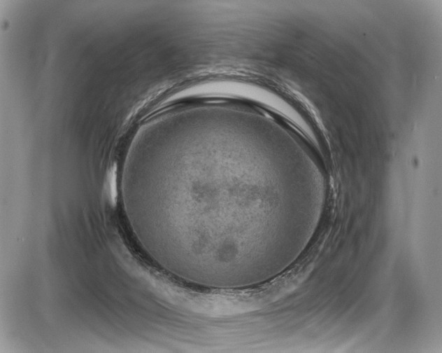 X0000087420020200704201437