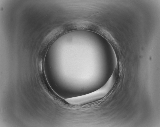 X0000087420021200704201437