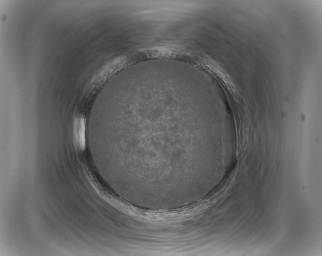 X0000087420022200704201437