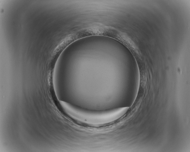 X0000087420023200704201437