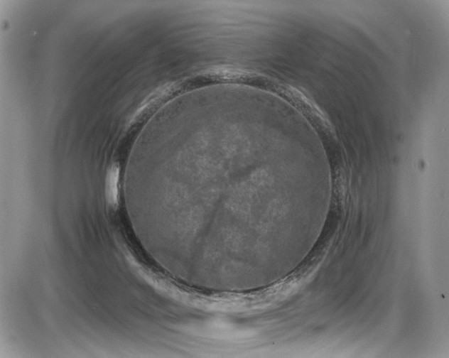 X0000087420024200704201437