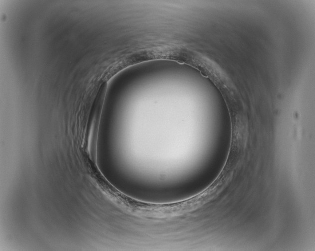 X0000087420025200704201437