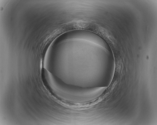 X0000087420027200704201437