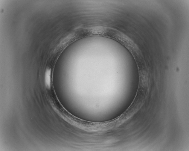 X0000087420028200704201437