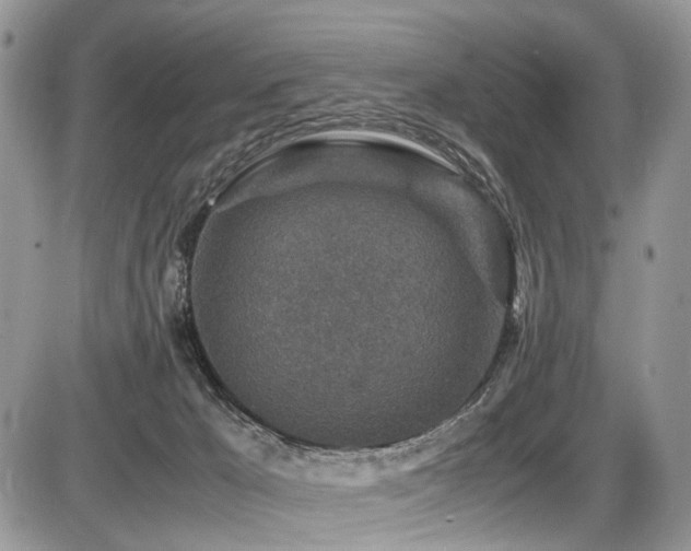 X0000087420029200704201437