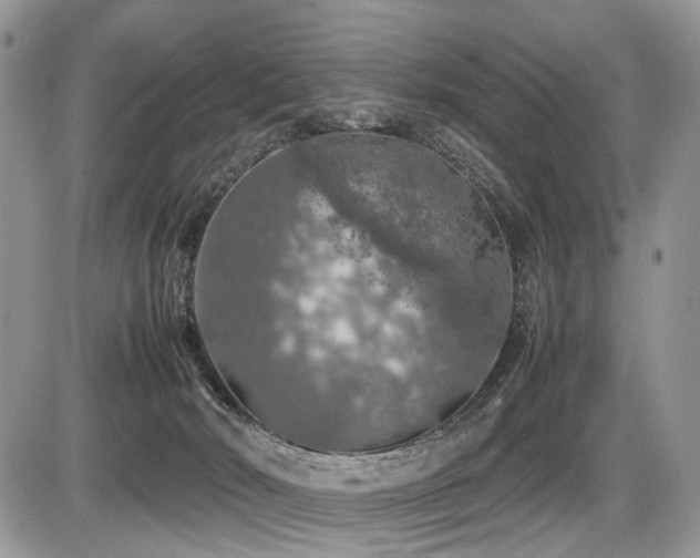 X0000087420030200704201437