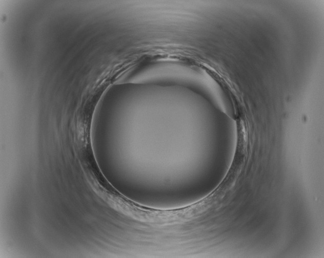 X0000087420031200704201437