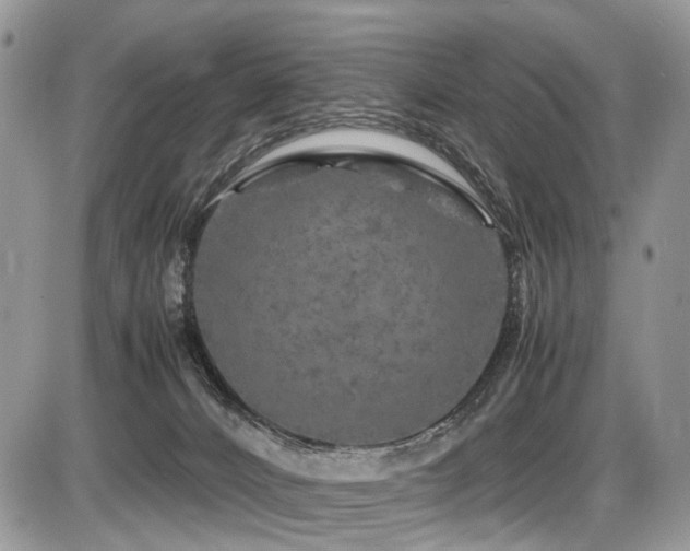 X0000087420032200704201437