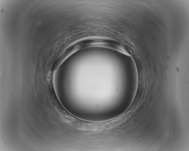 X0000087420033200704201437