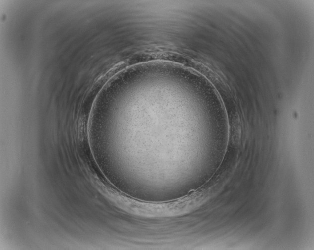 X0000087420034200704201437