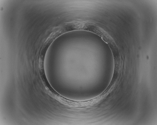 X0000087420035200704201437