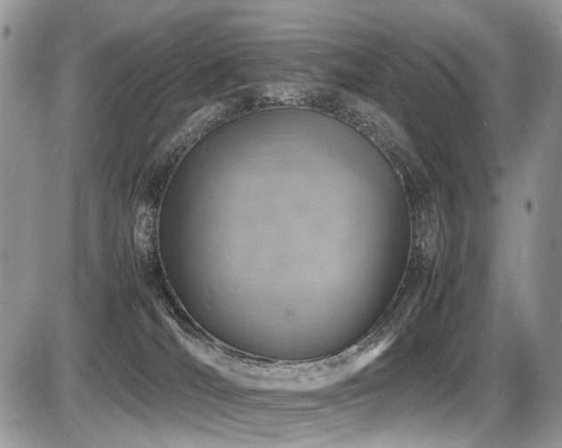 X0000087420036200704201437